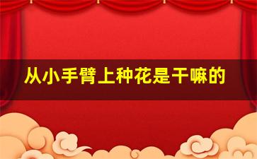 从小手臂上种花是干嘛的