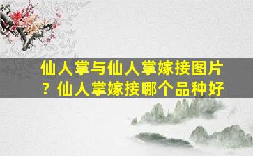 仙人掌与仙人掌嫁接图片？仙人掌嫁接哪个品种好