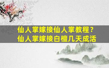 仙人掌嫁接仙人掌教程？仙人掌嫁接白檀几天成活