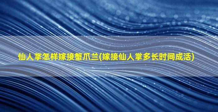 仙人掌怎样嫁接蟹爪兰(嫁接仙人掌多长时间成活)