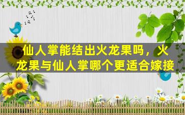 仙人掌能结出火龙果吗，火龙果与仙人掌哪个更适合嫁接