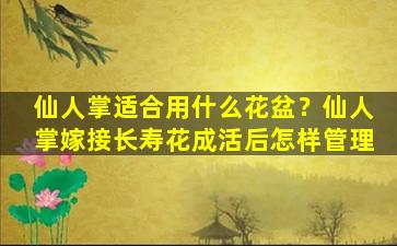 仙人掌适合用什么花盆？仙人掌嫁接长寿花成活后怎样管理