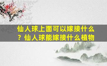 仙人球上面可以嫁接什么？仙人球能嫁接什么植物