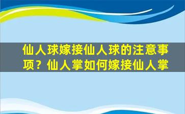 仙人球嫁接仙人球的注意事项？仙人掌如何嫁接仙人掌