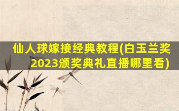 仙人球嫁接经典教程(白玉兰奖2023颁奖典礼直播哪里看)