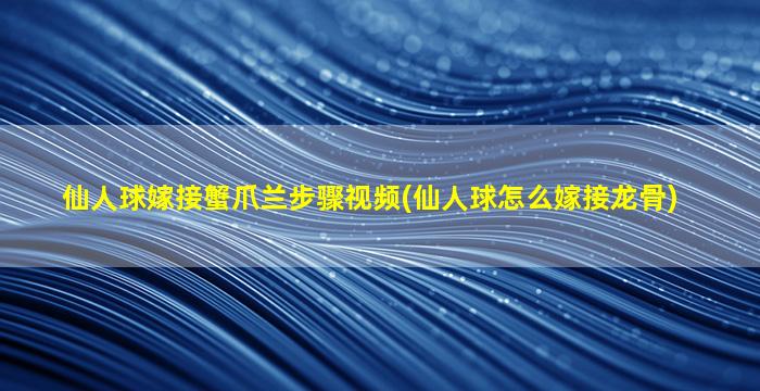 仙人球嫁接蟹爪兰步骤视频(仙人球怎么嫁接龙骨)