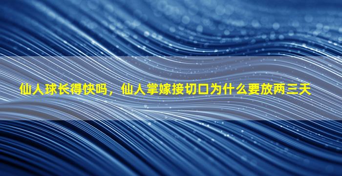 仙人球长得快吗，仙人掌嫁接切口为什么要放两三天