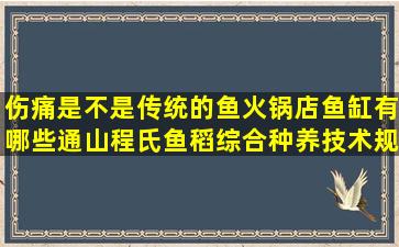 伤痛是不是传统的鱼火锅店鱼缸有哪些通山程氏鱼稻综合种养技术规范