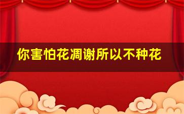 你害怕花凋谢所以不种花