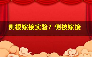 侧根嫁接实验？侧枝嫁接