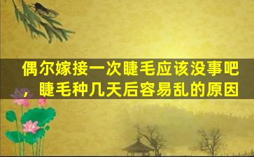 偶尔嫁接一次睫毛应该没事吧，睫毛种几天后容易乱的原因