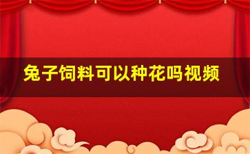 兔子饲料可以种花吗视频