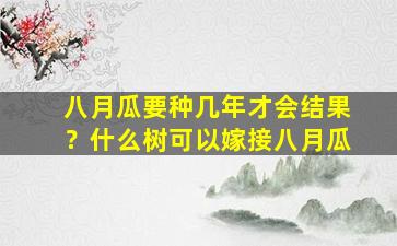 八月瓜要种几年才会结果？什么树可以嫁接八月瓜