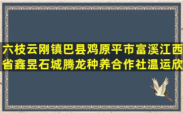 六枝云刚镇巴县鸡原平市富溪江西省鑫昱石城腾龙种养合作社温运欣