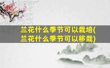 兰花什么季节可以栽培(兰花什么季节可以移栽)