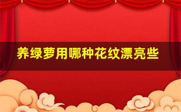 养绿萝用哪种花纹漂亮些