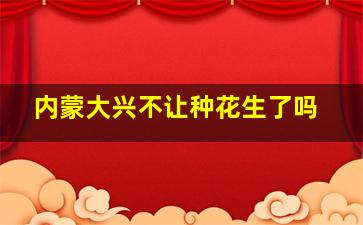 内蒙大兴不让种花生了吗