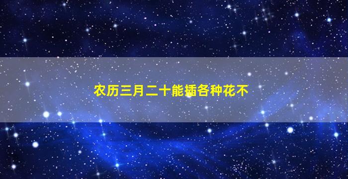 农历三月二十能插各种花不