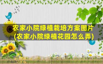 农家小院绿植栽培方案图片(农家小院绿植花园怎么弄)