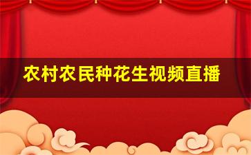 农村农民种花生视频直播