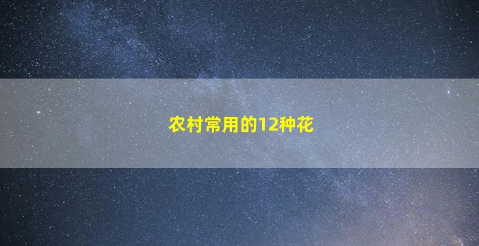 农村常用的12种花