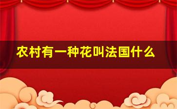 农村有一种花叫法国什么