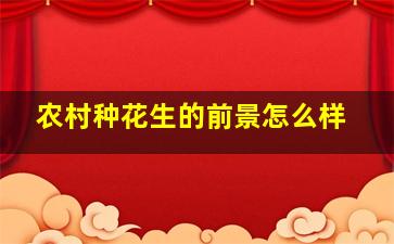 农村种花生的前景怎么样