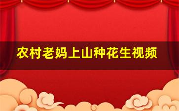 农村老妈上山种花生视频