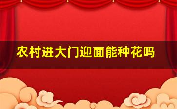 农村进大门迎面能种花吗