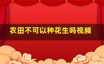 农田不可以种花生吗视频