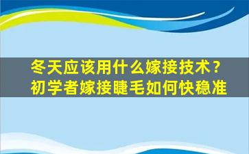 冬天应该用什么嫁接技术？初学者嫁接睫毛如何快稳准