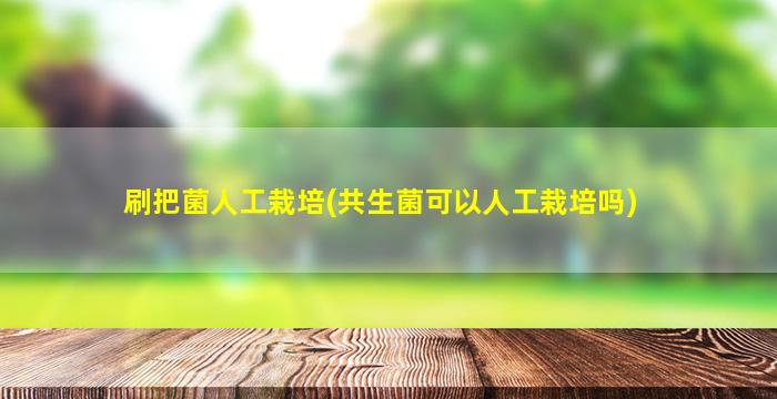 刷把菌人工栽培(共生菌可以人工栽培吗)