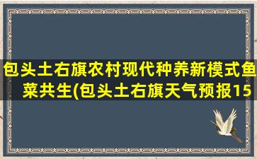 包头土右旗农村现代种养新模式鱼菜共生(包头土右旗天气预报15天)