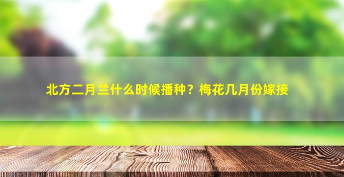 北方二月兰什么时候播种？梅花几月份嫁接