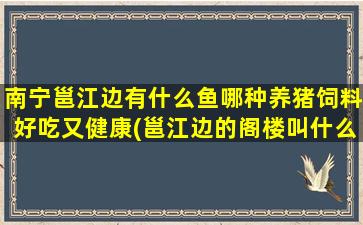 南宁邕江边有什么鱼哪种养猪饲料好吃又健康(邕江边的阁楼叫什么)