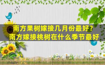 南方果树嫁接几月份最好？南方嫁接桃树在什么季节最好