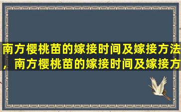 南方樱桃苗的嫁接时间及嫁接方法，南方樱桃苗的嫁接时间及嫁接方法图片