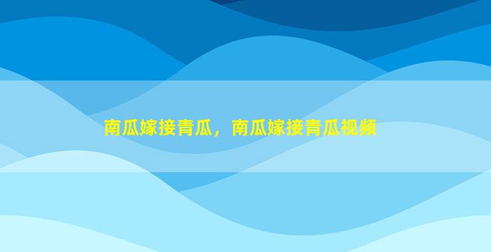 南瓜嫁接青瓜，南瓜嫁接青瓜视频