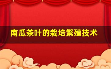 南瓜茶叶的栽培繁殖技术