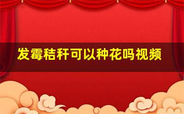 发霉秸秆可以种花吗视频