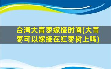 台湾大青枣嫁接时间(大青枣可以嫁接在红枣树上吗)