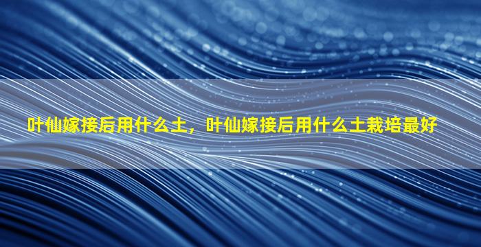 叶仙嫁接后用什么土，叶仙嫁接后用什么土栽培最好