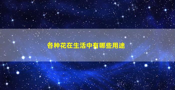 各种花在生活中有哪些用途