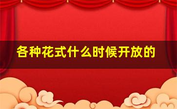 各种花式什么时候开放的