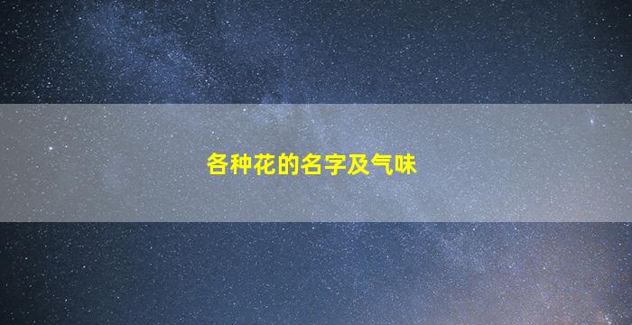 各种花的名字及气味