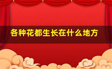 各种花都生长在什么地方