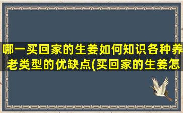 哪一买回家的生姜如何知识各种养老类型的优缺点(买回家的生姜怎么保存)