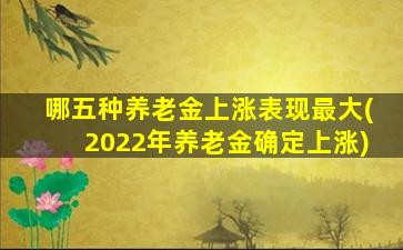 哪五种养老金上涨表现最大(2022年养老金确定上涨)