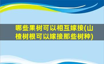 哪些果树可以相互嫁接(山楂树根可以嫁接那些树种)