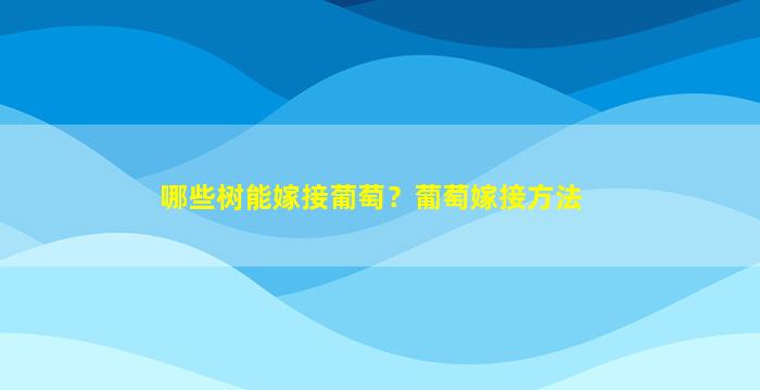 哪些树能嫁接葡萄？葡萄嫁接方法